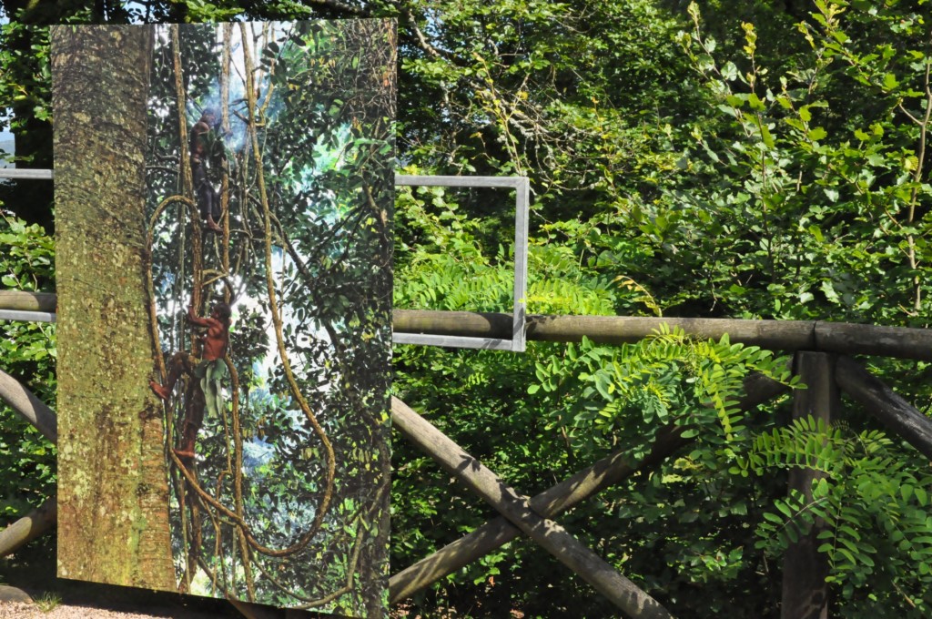 festival_lets_be_green_2021