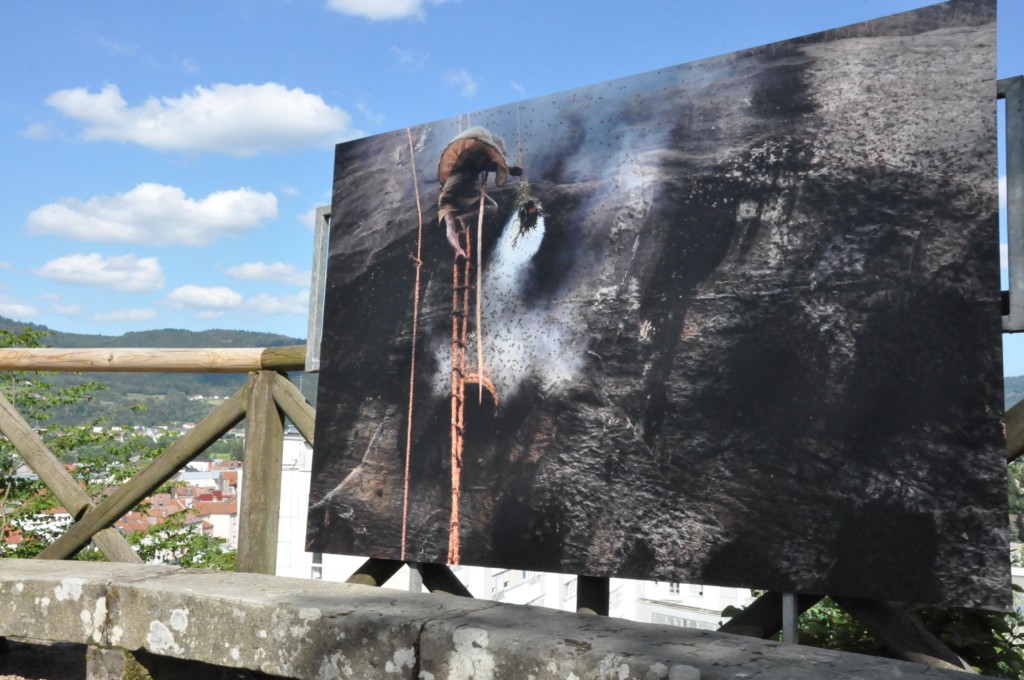 festival_lets_be_green_2021