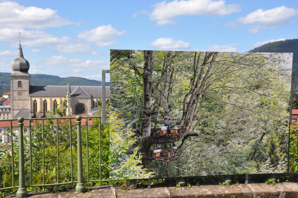 festival_lets_be_green_2021