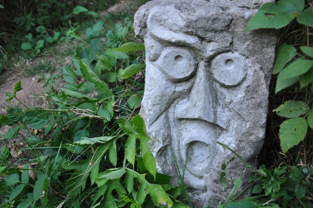 une figue dans le poirier