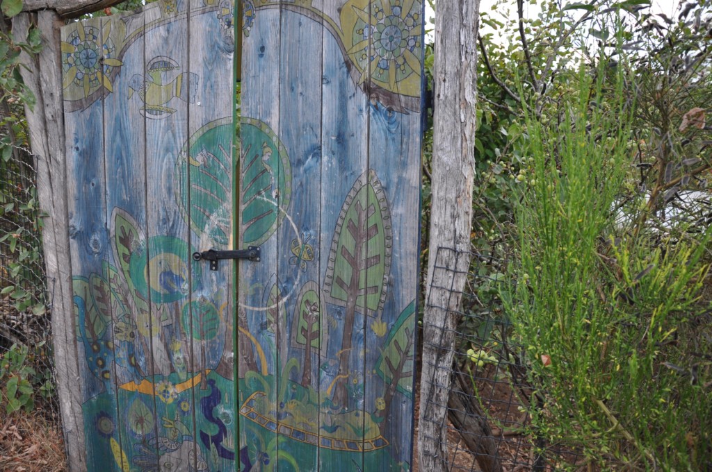 une figue dans le poirier