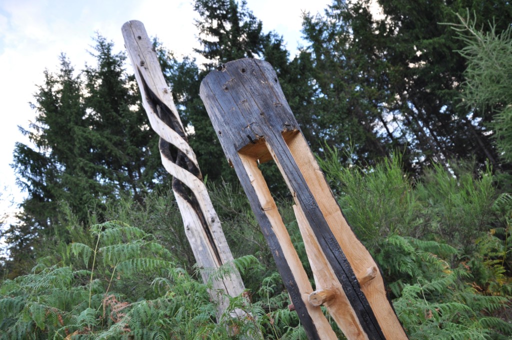 une figue dans le poirier