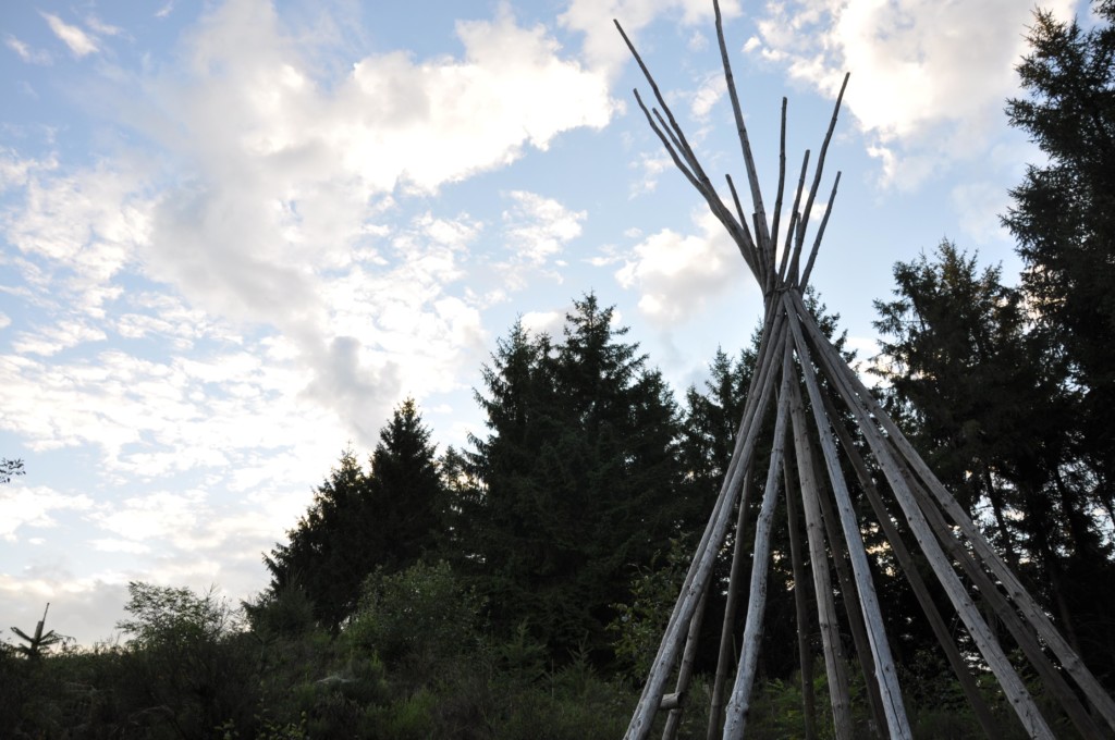 une figue dans le poirier