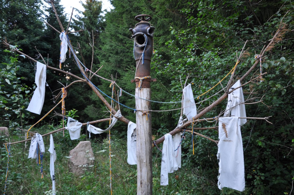 une figue dans le poirier