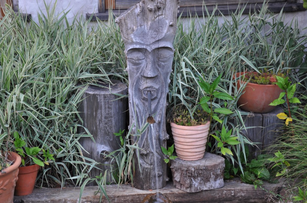 une figue dans le poirier