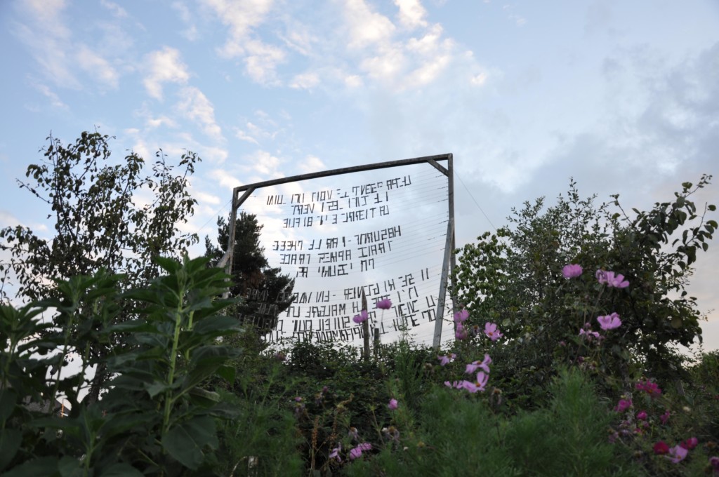 une figue dans le poirier